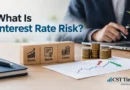 What is Interest Rate Risk?